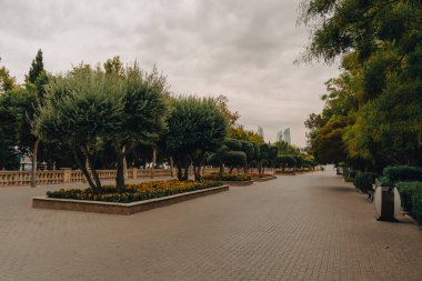 Tuğla yolu ve ağaçları olan bir park. Gökyüzü bulutlu ve ağaçlar yeşil