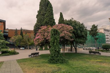 Ortasında ağaç olan ve etrafında banklar olan bir park. Park boş ve gökyüzü bulutlu.