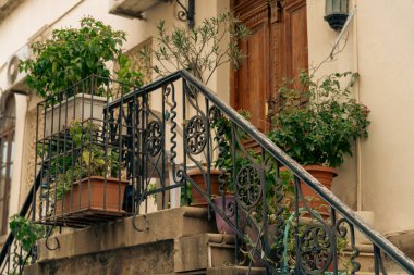 Korkulukları ve saksısı olan bir balkon.