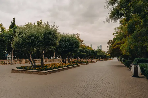 Tuğla yolu ve ağaçları olan bir park. Gökyüzü bulutlu ve ağaçlar yeşil
