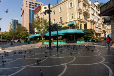 Arka planda büyük bir bina olan işlek bir şehir caddesi. Yerde bir sürü kuş var, bazıları yerden gagalıyor.