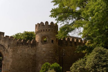 Önünde büyük bir ağaç ve kulesi olan bir kale. Kale eski ve taş bir duvarı var.