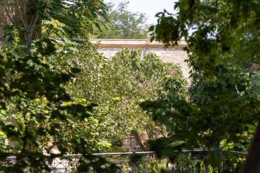 Arkasında taş bina olan yemyeşil bir orman. Bina eski ve taştan bir cephesi var. Ağaçlar uzun ve yapraklı. Huzurlu ve huzurlu bir atmosfer yaratıyorlar.