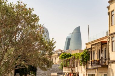 Balkonlu bir binanın önünde bir ağaç var. Balkonda birkaç saksı bitkisi var.