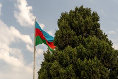 Mavi, yeşil ve kırmızı çizgili bir bayrak bir ağacın yanında dalgalanıyor.