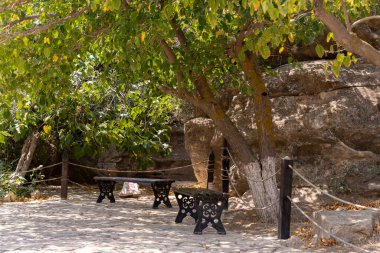 Bankı ve ağacı olan bir park. Ağaç yeşil ve yaprakları var. Park sakin ve sakin.