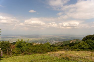 Açık mavi gökyüzü olan güzel bir şehir manzarası. Şehir ağaçlarla çevrili ve çimenler yemyeşil.