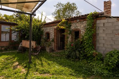 Yanında büyüyen büyük yeşil bir sarmaşık olan bir ev. Ev yemyeşil bir çimenlikle çevrili.