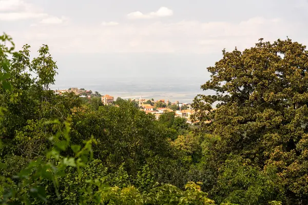 Önünde bir ağaç olan tepeden bir kasaba manzarası. Kasaba küçük ve bir sürü evi var. Gökyüzü bulutlu ve ağaçlar yeşil