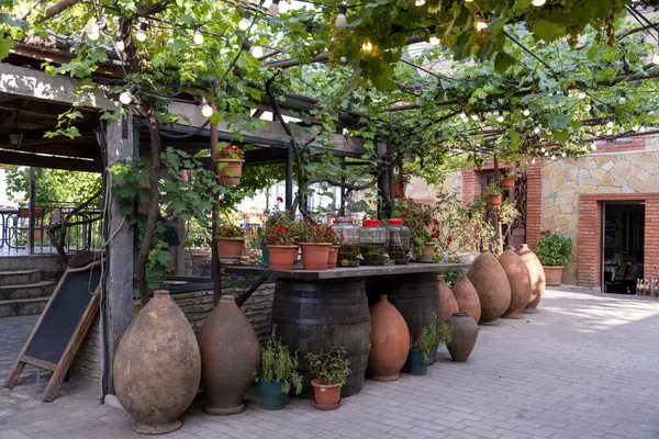 İçinde büyük kil saksılarının da bulunduğu çeşitli saksı bitkileri ve vazoların olduğu bir bahçe. Sahnenin kırsal ve rahat bir atmosferi var, bitkilerle birlikte.
