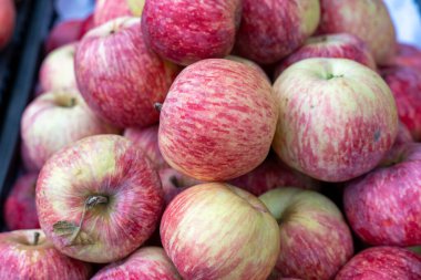 Bir yığın kırmızı ve sarı elma. Elmalar üst üste yığılmıştır. Elmalar olgunlaştı ve yemeye hazır.