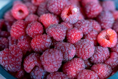 Bir kase kırmızı ahududu. Ahududular olgunlaştı ve yenmeye hazır. Kase siyah ve ahududular kasenin her tarafına saçılmış.