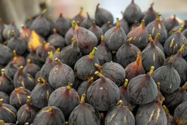 Bir sürü siyah incir üst üste yığılmış. İncirler olgunlaştı ve yenmeye hazır.