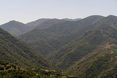 Dağlar yemyeşil ağaçlarla kaplıdır ve gökyüzü açık ve mavidir. Huzurlu ve huzurlu bir manzara. Dağlar huzur ve sükunet hissi veriyor.