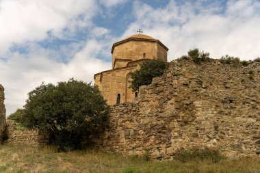 Taş bir duvarın dışında küçük bir ağaç büyüyor, etrafında da taş bir duvar var. Ağaç çimenli bir alanda ve gökyüzü bulutlu.