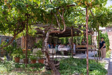 Bir grup insan dışarıda sarmaşıkla kaplı bir pergola altında oturuyor. Atmosfer rahat ve sosyal, insanlar birbirlerinin arkadaşlığından ve açık hava ortamından keyif alıyor.