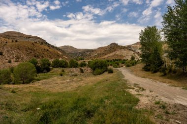 Her iki tarafında ağaçlar olan çimenli bir tarladan geçen bir yol. Gökyüzü bulutlu, ama güneş hala parlıyor.