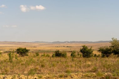 Birkaç ağacın etrafa saçıldığı kuru, çorak bir tarla. Gökyüzü açık ve mavi, görünürde bulut yok.