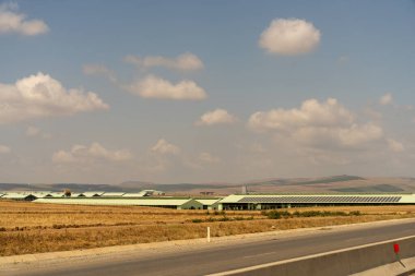 Arka planda bir sürü bina olan bir yol. Binalar yeşil ve onlardan bir sürü var.