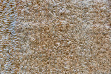 Kahverengi ve beyaz renkli bir halının yakın çekimi. Halıda çok fazla doku var ve o yıpranmış.