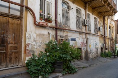 Üzerinde bir sürü grafiti olan bir bina ve saksıda bir bitki. Binanın bir sürü penceresi ve kapısı var.