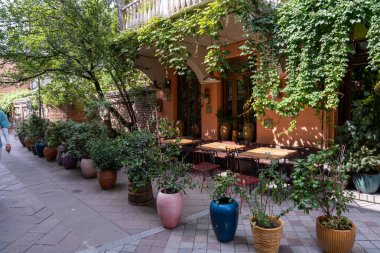 Bir sürü saksısı olan renkli bir bahçe ve masa ve sandalyeleri olan bir teras. Bahçe alanı büyük bir ağaç tarafından gölgelendirilmiştir.