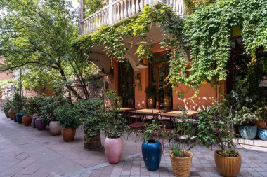 Rengarenk saksılar bir tuğla kaldırıma dizilmiş. Tencereler çeşitli boylarda ve renklerde ve düzenli bir sıra halinde dizilmişler. Sahnenin huzurlu ve rahatlatıcı bir atmosferi var.