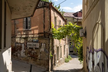 Solunda bina, sağında bina olan dar bir ara sokak. Sokak grafiti ile kaplı ve duvarında bir sürü asma yetişiyor.
