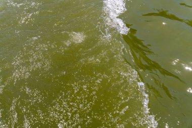 Su yeşil ve bir sürü kabarcığı var. Kabarcıklar küçük ve tüm suya saçılmış.