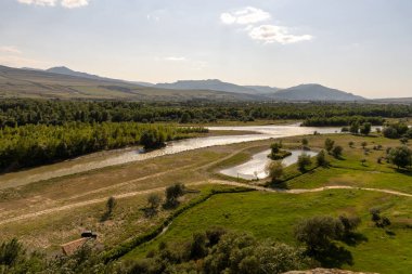 İçinden nehir akan yemyeşil bir tarla. Gökyüzü açık ve güneş parlıyor.