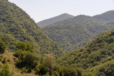 Ağaçları ve çalıları olan yemyeşil bir dağ sırası. Gökyüzü açık ve güneş ışıl ışıl parlıyor. Huzurlu ve huzurlu bir atmosfer yaratıyor. Dağlar da çeşitli ağaçlarla çevrili.