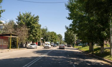 Arka planda ağaçlar ve arabalar olan bir cadde. Sokaklar yolda giden arabalar ve kamyonlarla dolu.