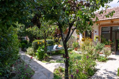 Küçük bir bahçe, bir bank ve bir ağaç. Banka yeşildir ve ağacın altına yerleştirilmiştir. Bahçede birçok çiçek ve birkaç saksı bitkisi var. Bahçe tuğla bir geçitle çevrili.