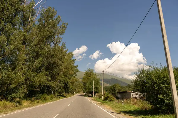 İki tarafında ağaçlar ve üstlerinde kablolar olan bir yol. Gökyüzü mavi ve uzaklarda bulutlar var.