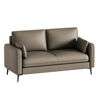 İki yastıklı bronz deri bir kanepe. Kanepe beyaz bir arka plana yerleştirilir. Kanepe oturmak ve dinlenmek için rahat bir yerdir.