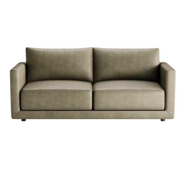 Üzerinde iki yastık olan bronz bir kanepe. Koltuk deriden yapılmıştır ve modern bir tasarıma sahiptir.