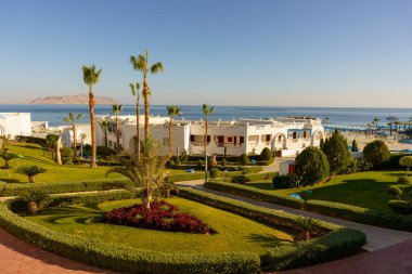 Palmiye ağaçları ve beyaz bir evin olduğu güzel bir sahil sahnesi. Kumsal insanlarla dolu ve kurulmuş bir sürü şemsiye var. Atmosfer rahat ve davetkar.