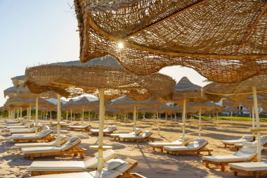 Bir sürü şemsiyesi ve şezlongları olan bir kumsal. Kumsal boş ve güneş parlıyor.