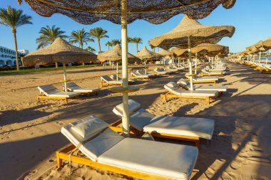 Bir sürü beyaz plaj sandalyesi ve şemsiyesi olan bir plaj. Sandalyeler boş ve şemsiyeler açık. Kumsal boş ve gökyüzü temiz.