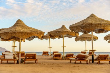 Bir sürü şemsiyesi ve sandalyesi olan bir kumsal. Şemsiyeler açık ve sandalyeler boş. Kumsal boş ve gökyüzü temiz.
