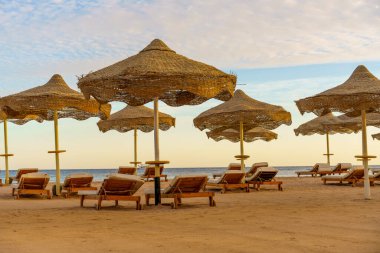 Bir sürü şemsiyesi ve sandalyesi olan bir kumsal. Şemsiyeler açık ve sandalyeler boş. Manzara rahatlatıcı ve huzur verici.