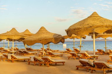 Bir sürü şemsiyesi ve sandalyesi olan bir kumsal. Şemsiyeler kamuflaj deseniyle kaplı.