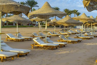 Bir sürü şemsiyesi ve sandalyesi olan bir kumsal. Şemsiyelerin hepsi kahverengi ve sandalyeler beyaz. Kumsal boş ve gökyüzü mavi.