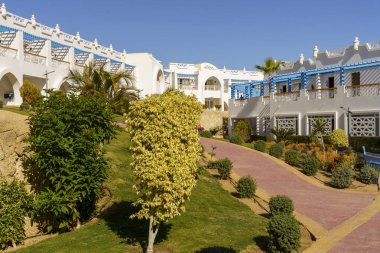 Ortasında bir ağaç olan bir yürüyüş yolu. Geçit birçok bitkiyle çevrili bir bahçeyle çevrilidir.