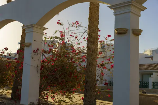 Önünde kırmızı çiçekler olan beyaz bir kemer yolu. Kemer yolu ağaçlar ve binalarla çevrili.