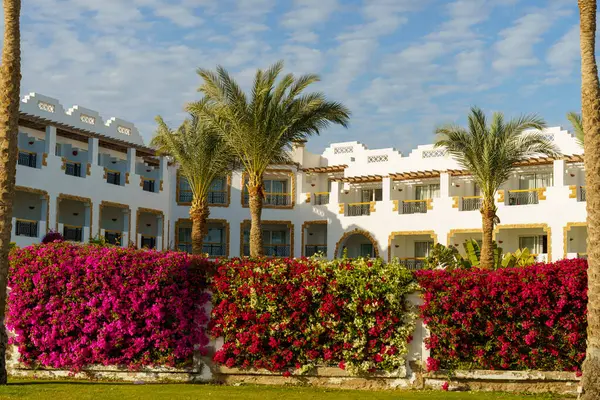 Önünde güzel bir bahçesi olan bir otel. Bahçe pembe çiçekler ve palmiye ağaçlarıyla dolu.