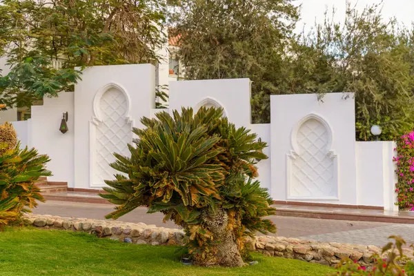 Kahverengi yapraklı küçük bir ağaç beyaz bir binanın önünde. Ağaç bir taş duvarla çevrilidir ve bölgede başka bitkiler de vardır. Sahnenin huzurlu ve huzurlu bir atmosferi var.