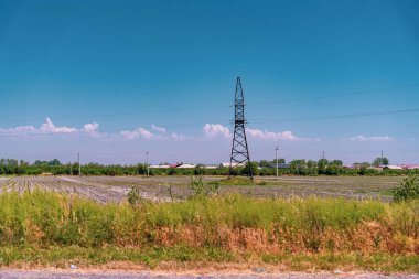 Bir tarlanın ortasında uzun bir güç kulesi var. Kulenin etrafında uçuşan bir sürü kuş var.