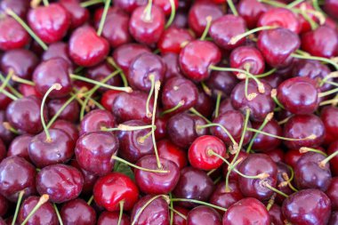 Yeşil saplı bir demet kırmızı kiraz. Kirazlar bir yığın içinde. Yığında bir sürü kiraz var.