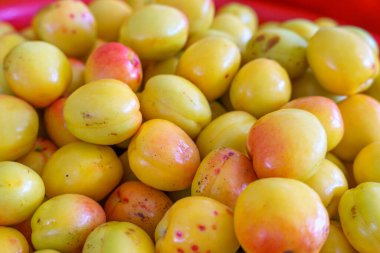 Bir demet sarı şeftali. Bazıları olgun, bazıları değil. Şeftaliler kırmızı kasede.